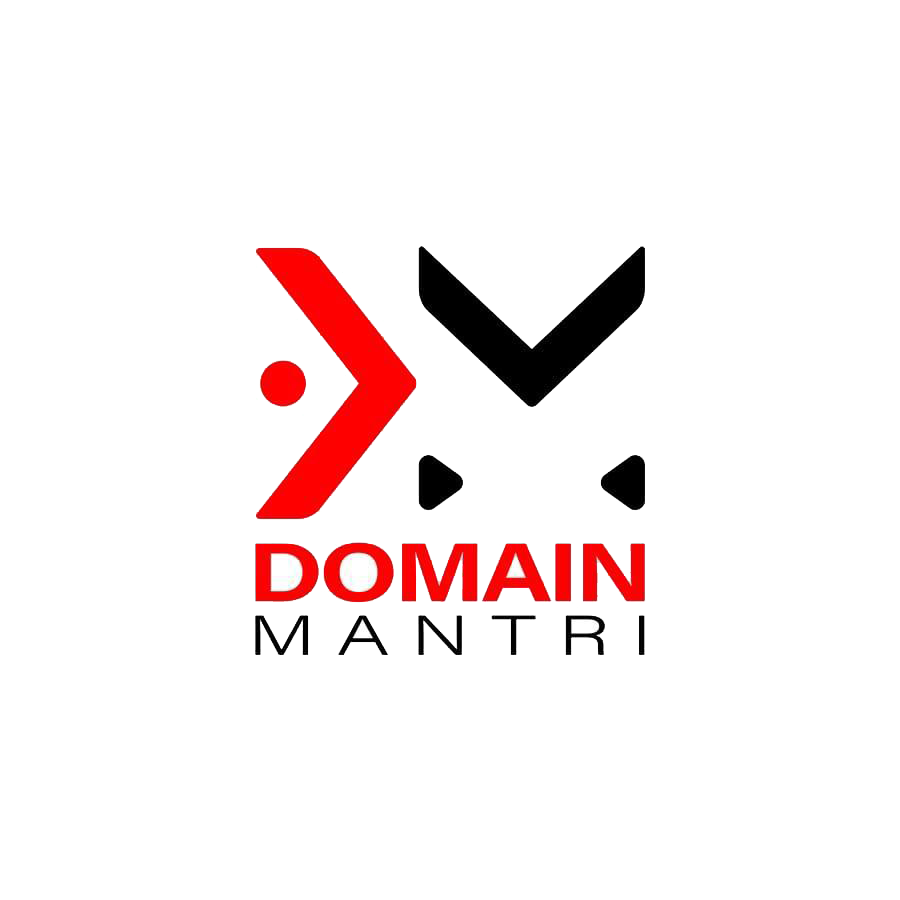 Domain company